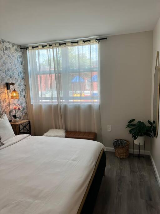 ניו הייבן Home Haven, Walk To Little Italy & Wooster Square מראה חיצוני תמונה